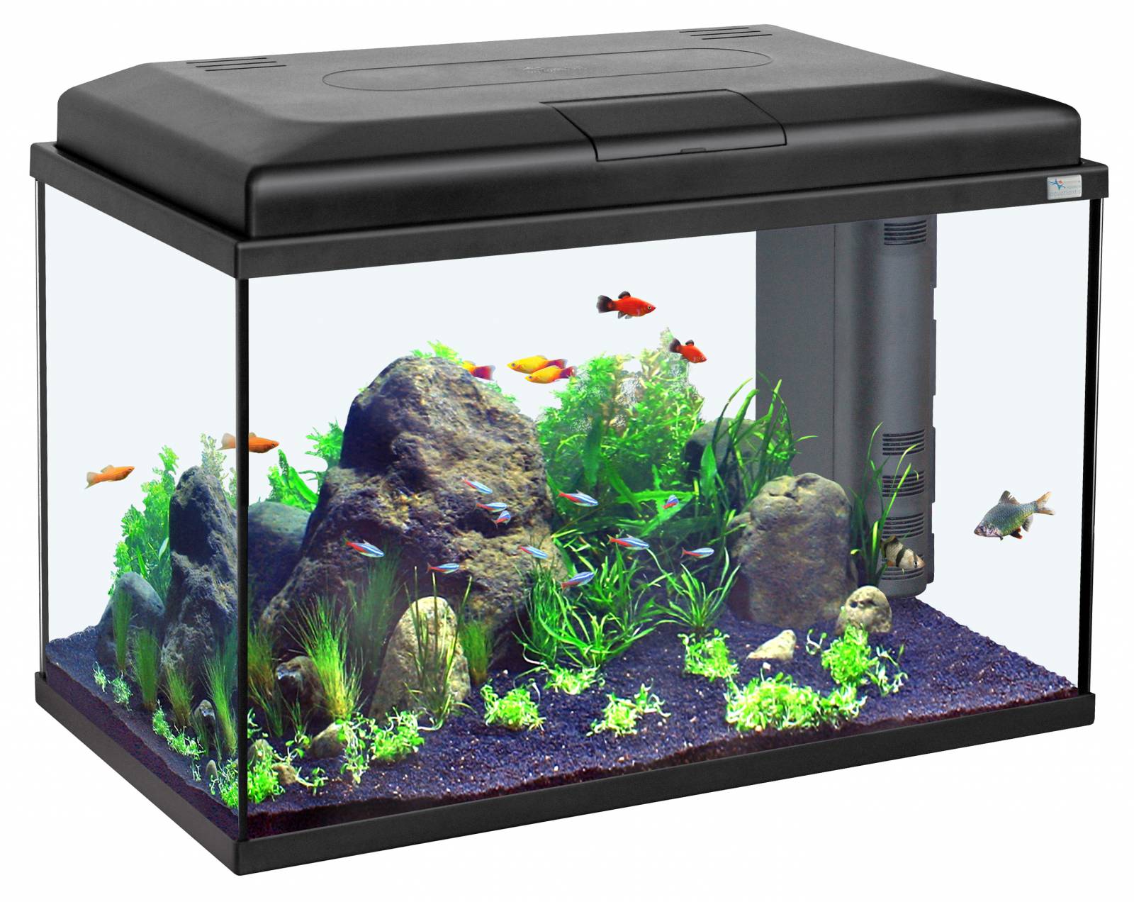 Nano Cubic аквариум 20л белый (025) 23х30х38см led-светильник 6w фильтр Mini BIOBOX 1