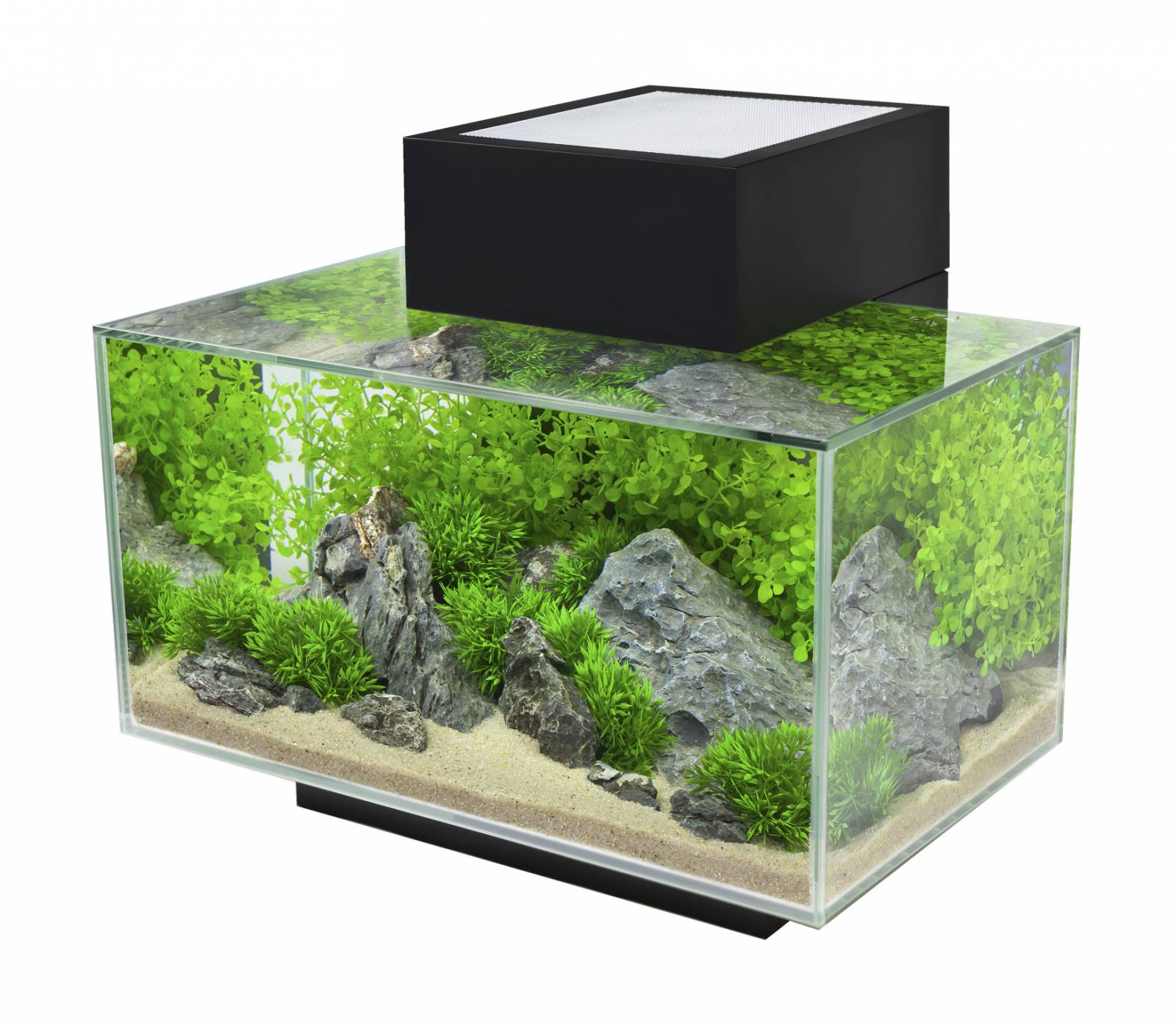 Аквариумистика. Аквариум Fluval Edge 23l. Аквариум Hagen Fluval Edge led черный 23 л. Hagen аквариум Fluval Edge. Hagen Fluval Edge 23 Scape.